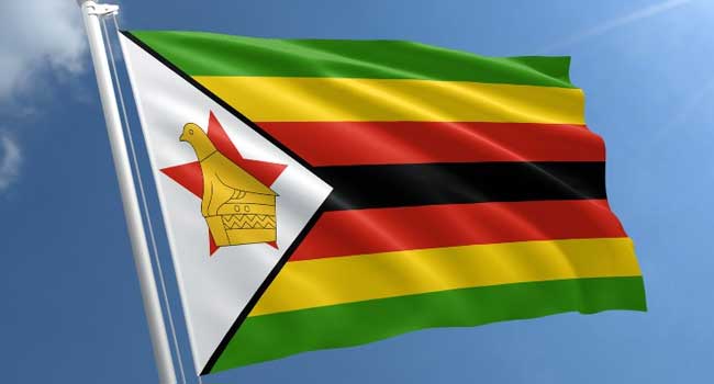 Zimbabwe Doctors March To Support ‘Abducted’ Union Activist