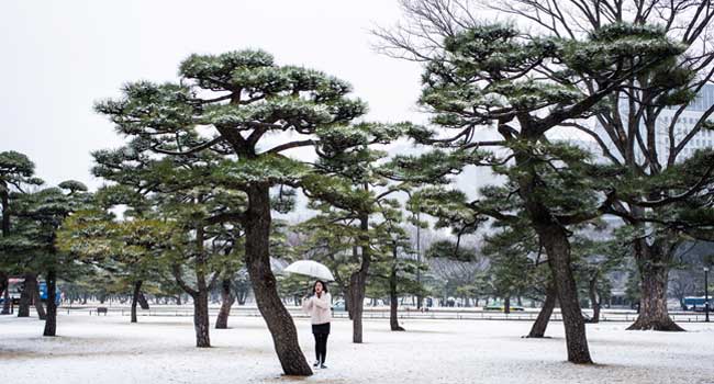 Japan Upgrades Downpour Forecast Before Tokyo 2020