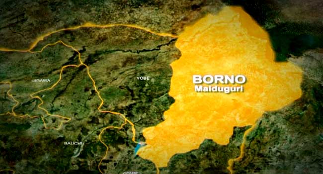 Female Suicide Bomber Kills Two In Borno