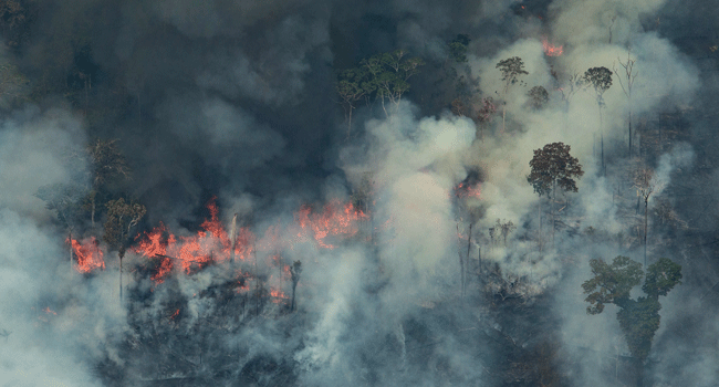 G7 Pledges Millions To Fight Amazon Fires