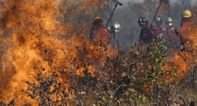 Pope Francis Blames Amazon Fires On Destructive ‘Interests’