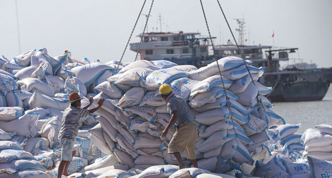 Workers transfer products made with soybeans imported from Brazil at a port in Nantong in China's eastern Jiangsu province on September 19, 2019. STR / AFP