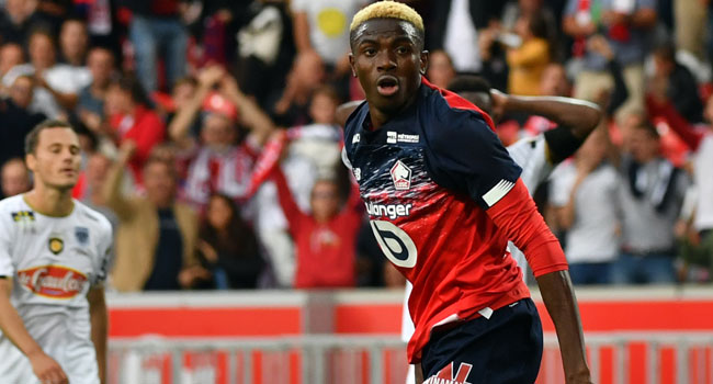 Super Eagles’ Osimhen Scores As Lille Beat Angers – Channels Television
