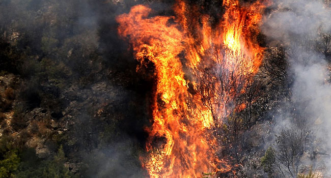 Lebanon Turns To Neighbours For Help In Fighting Forest Fires