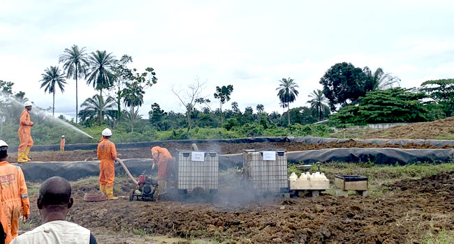 FG Committed To Clean-Up Of Ogoniland, Says Minister