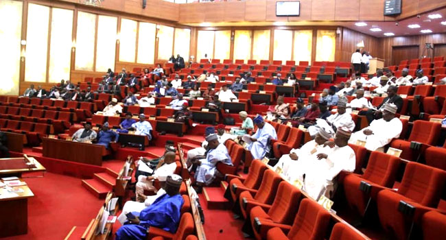 Senate Passes Finance Bill Proposing VAT Increase, Others