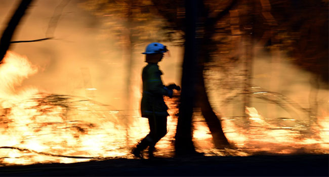 Doctors Say Sydney Bushfire Haze A ‘Public Health Emergency’