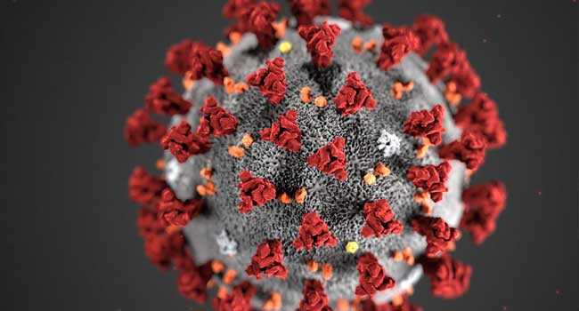 Coronavirus: Who Is Most At Risk Of Dying?