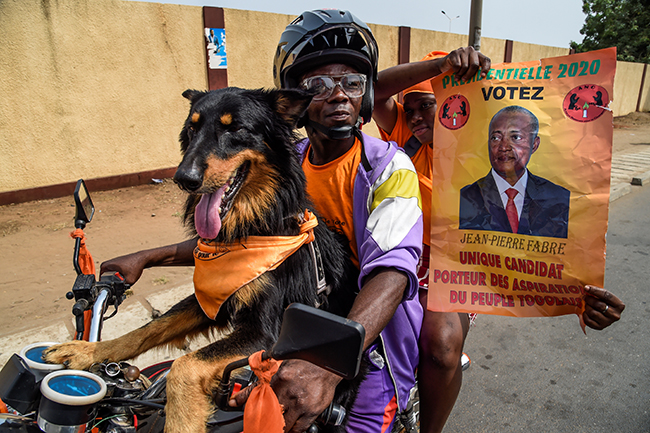 Supporters of Togo's major opposition candidate of the National Alliance for Change (ANC) party Jean-Pierre Fabre ride with a dog on a motorcycle during the last election rally of the campaign in Lome on February 20, 2020. - Opposition leader Jean-Pierre Fabre has intensified campaign ahead of February 22 election to defeat incumbent President Faure Gnassingbe whose family has been ruling Togo since over five decades, yet is seeking re-election for the fourth term despite widespread protests by the opposition calling for the end of his family's decades-long grip on power. (Photo by PIUS UTOMI EKPEI / AFP)