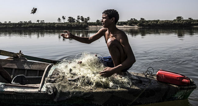 Fisherman