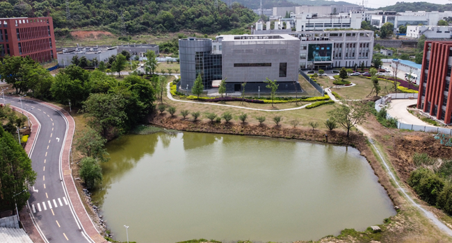 An aerial view shows the P4 laboratory (C) at the Wuhan Institute of Virology in Wuhan in China's central Hubei province on April 17, 2020. Hector RETAMAL / AFP