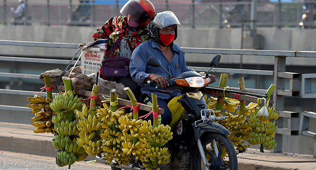 A man rides his motorcycle loaded with bananas in Phnom Penh on May 14, 2020. TANG CHHIN Sothy / AFP