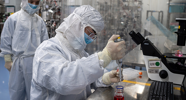 In this picture taken on April 29, 2020, an engineer takes samples of monkey kidney cells as he make tests on an experimental vaccine for the COVID-19 coronavirus inside the Cells Culture Room laboratory at the Sinovac Biotech facilities in Beijing. 