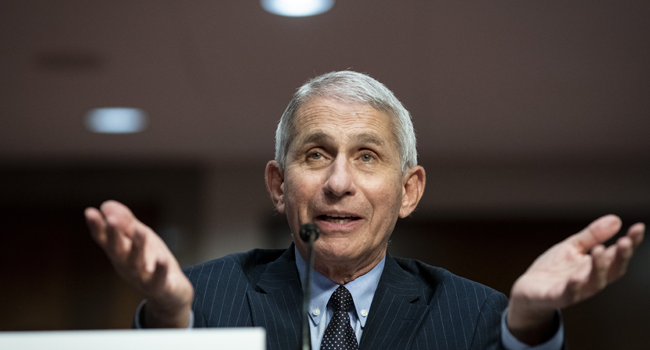 Dr. Anthony Fauci, director of the National Institute of Allergy and Infectious Diseases, speaks during a Senate Health, Education, Labor and Pensions Committee hearing on June 30, 2020 in Washington, DC.  Al Drago - Pool/Getty Images/AFP