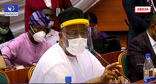 The Minister of Niger Delta appeared before a House of Representatives committee on July 20, 2020.