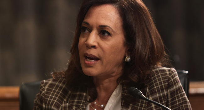 U.S. Sen. Kamala Harris (D-CA) speaks during a hearing before Senate Homeland Security and Governmental Affairs Committee at Dirksen Senate Office Building August 6, 2020 on Capitol Hill in Washington, DC. Alex Wong / POOL / AFP