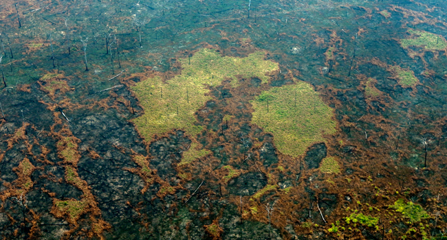 Aerial file photo taken on August 24, 2019 of burnt areas of the Amazon rainforest, near Boca do Acre, Amazonas state, Brazil, in the Amazon basin. Lula SAMPAIO / AFP