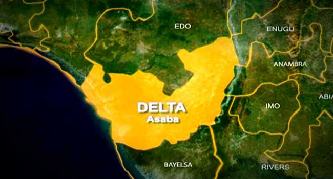 Delta Govt Confirms Outbreak Of Bird Flu – Channels Television