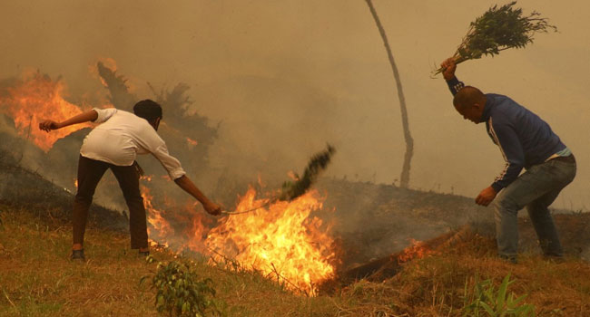 Nepal Hit By Worst Wildfires In Almost A Decade