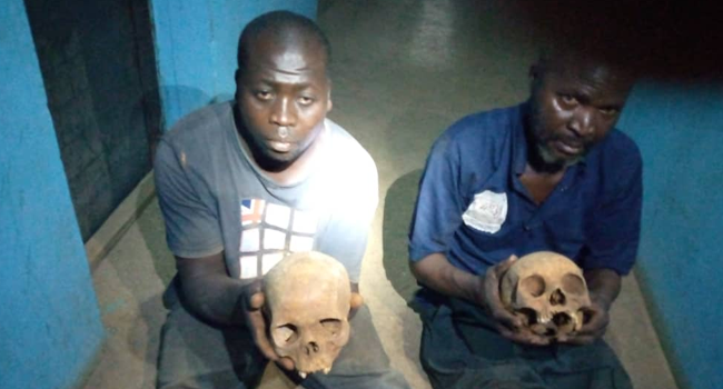 Police in Kaduna on April 24 said they have arrested two men with human skulls.
