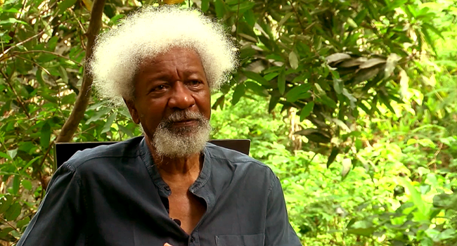 A file photo of Nobel Laureate Wole Soyinka.