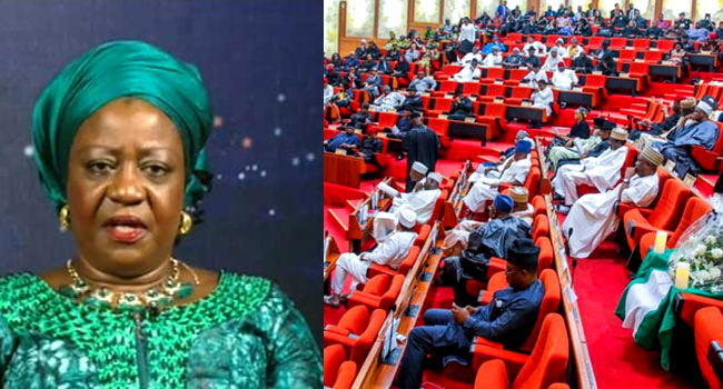 A photo combination of Lauretta Onochie and a file image of Senators in the red chamber.