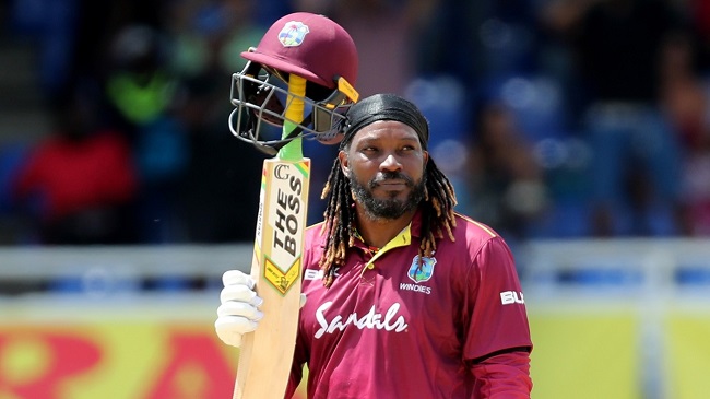 Cricket 365 top tv