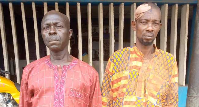 Police Arrest Two Suspected Land Grabbers For Invading Ogun Community