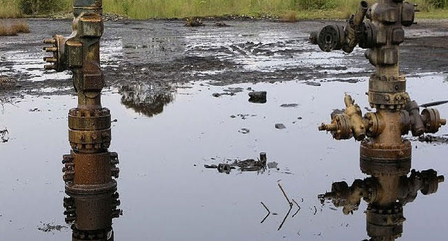 Ogoni Clean Up: FG Yet To Meet Demands 31 Years After, Says Environmental Activist