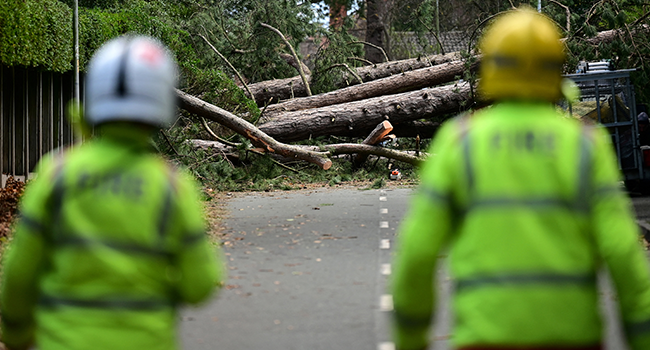 Fire fighters arrive to inspect the damage from a fallen tree in Birkenhead, north west England on November 27, 2021, as "Storm Arwen" triggered a rare "red weather" warning. Paul ELLIS / AFP