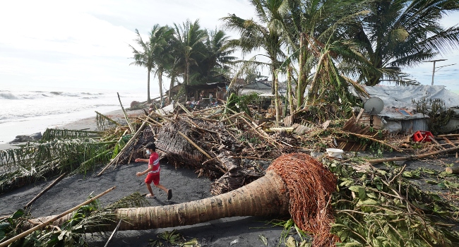 Typhoon Rai uproots trees in Phlippines