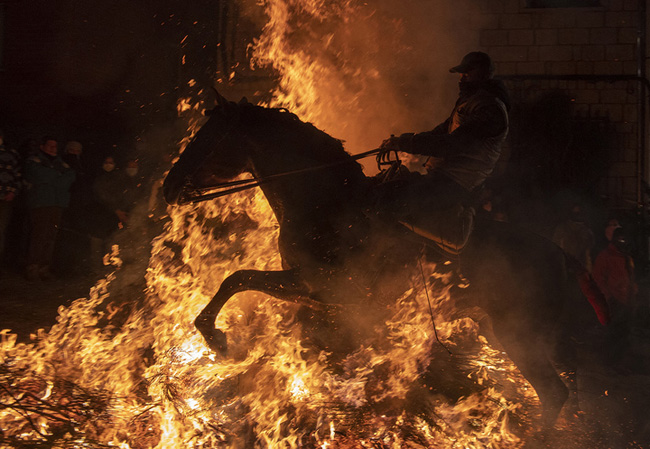 A horseman rides through a bonfire in the village of San Bartolome de Pinares in the province of Avila in central Spain, during the traditional religious festival of "Las Luminarias" in honour of San Antonio Abad (Saint Anthony), patron saint of animals, on January 16, 2022. PIERRE-PHILIPPE MARCOU / AFP
