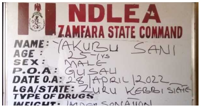 Italy, Dubai-Bound Drugs Blocked In Lagos As NDLEA Seizes 203,879 Tramadol Tabs