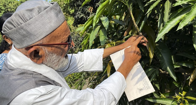 India’s Mango Man, Father Of 300 Varieties