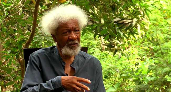 In Pursuit Of Justice, Productive Under The Rule Of Law By Wole Soyinka 