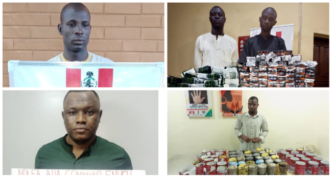 Sokoto Village Head, 10 Others Arrested Over 991,320 Opioid Pills, 1,251kg  Skunk – Channels Television