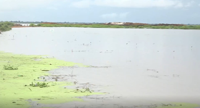 A cross-section of a flooded farmland in Nasarawa state.