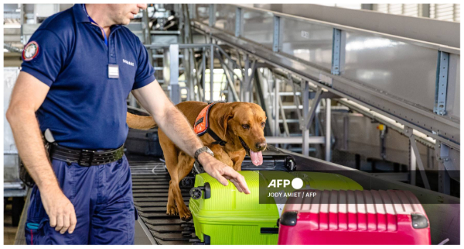 This file photo taken on October 11, 2022, shows a customs officer and a sniffer dog checking luggage at Felix Eboue International Airport in Cayenne, French Guiana. (Photo by jody amiet / AFP)