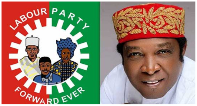 Killings: Labour Party Calls For Election Postponement In Enugu East Senatorial District