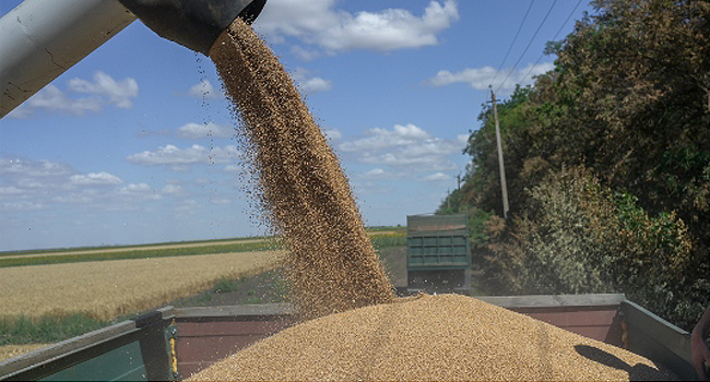 FG To Site Grain Hub In Port Harcourt, 25,000 Metric Tonnes Expected From Ukraine – Channels Television