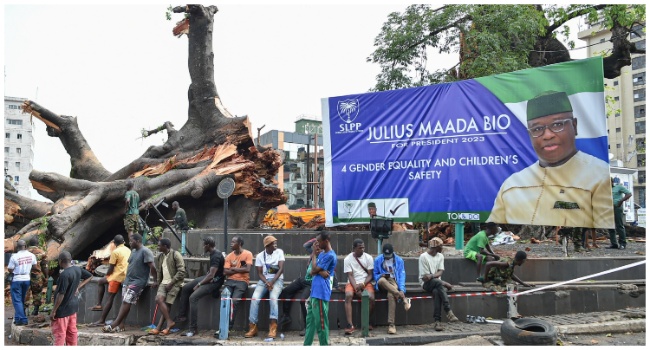 People sit next to the fallen iconic ‘Cotton Tree’ in Freetown on May 25, 2023. The two hundred year old iconic Cotton Tree, a symbol of Freetown fell after a strong wind storm. The cotton tree was historically used by free slaves to gather and pray. (Photo by Saidu BAH / AFP)