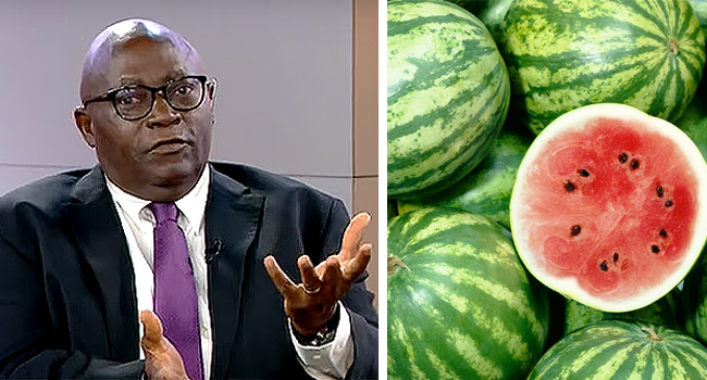 Subsidy Removal: ‘Watermelon I Bought Yesterday For N800 Now N2,000’ – Trade Expert