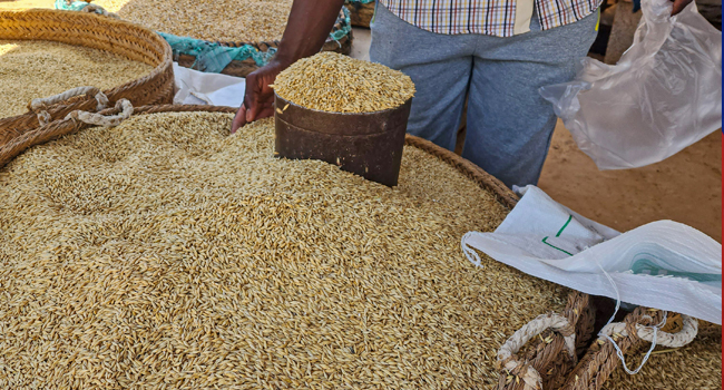 grain-russia-ukraine-africa-