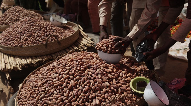 Nigeria’s Non-Oil Exports Revenue Rises To $6.1bn