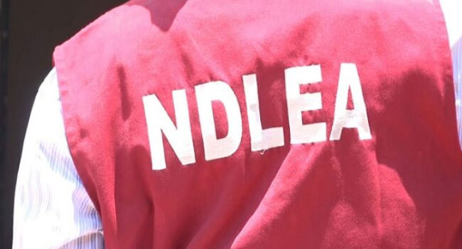 NDLEA Smashes International Drug Syndicate, Arrests Five