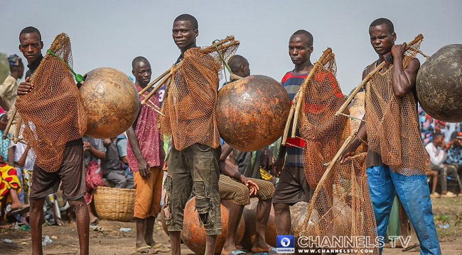 Culture On Display: Taraba’s Nwonyo Fishing Festival In Pictures