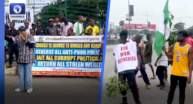 protesters