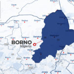 Zulum Calls For Anti-Deforestation Laws Enforcement, Awards Scholarships To 540 Council Workers