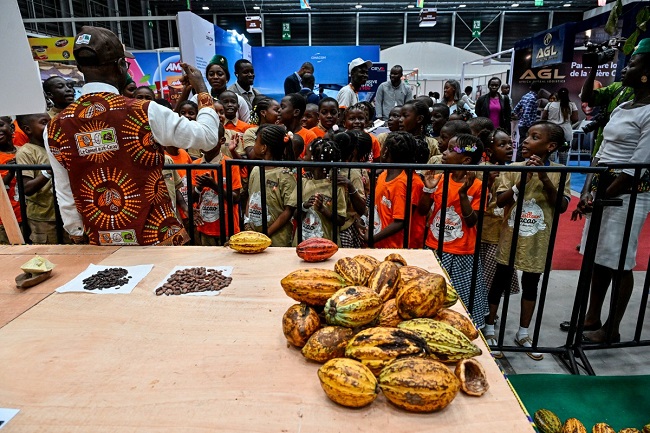 Anger Brews In Côte d’Ivoire Over Unsold Cocoa