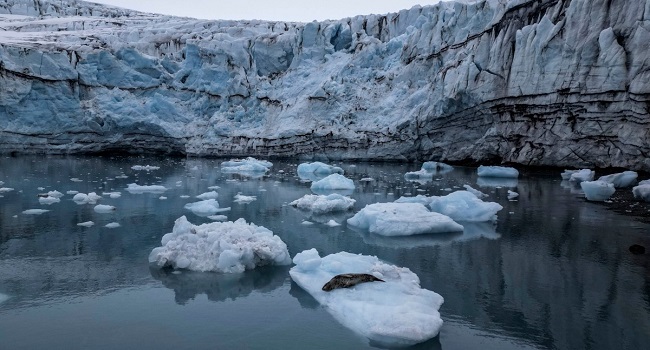 Record Numbers Forced To Flee Climate Disasters: UN